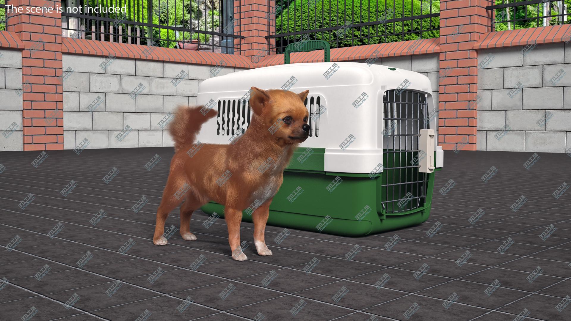 images/goods_img/20210319/Chihuahua in the Pet Carrier with Fur 3D model/4.jpg
